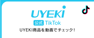 公式TikTok