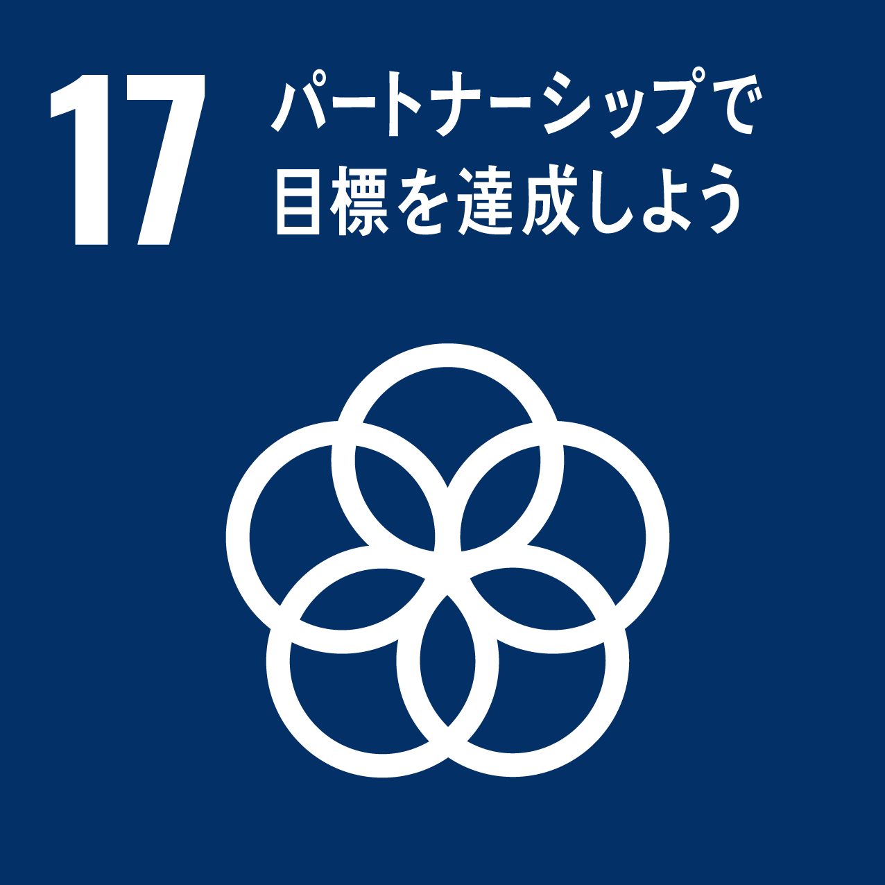 17: 通过合作伙伴关系实现您的目标