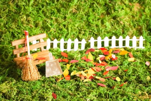 Photo of cleaning fallen leaves